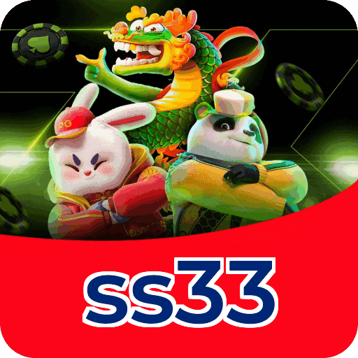 ss33
